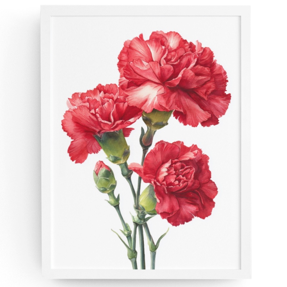 Watercolor Carnation Flowers Wall Art Print, Unframed - Vibrant Floral Grace